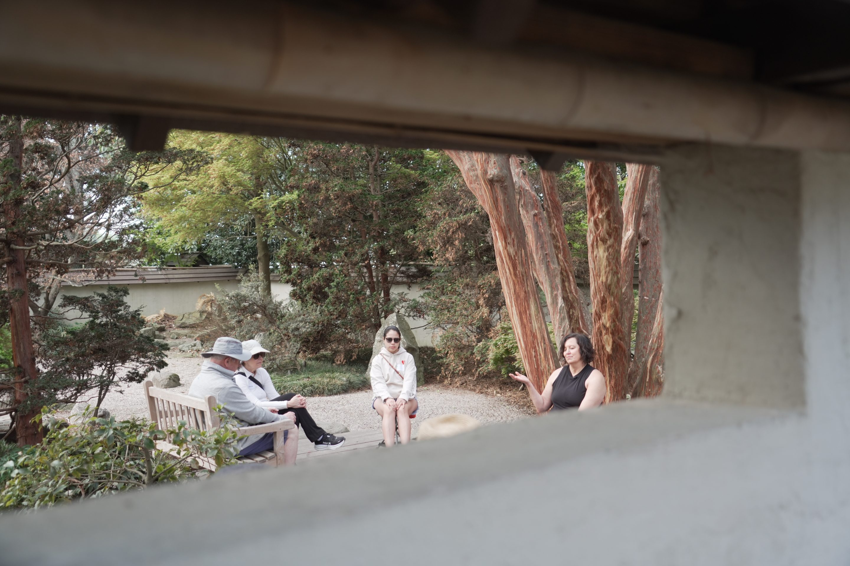 A "forest bathing" session in a walled Japanese garden at the J.C. Raulston Arboretum in Raleigh, N.C., on Sunday, March 22, 2026.