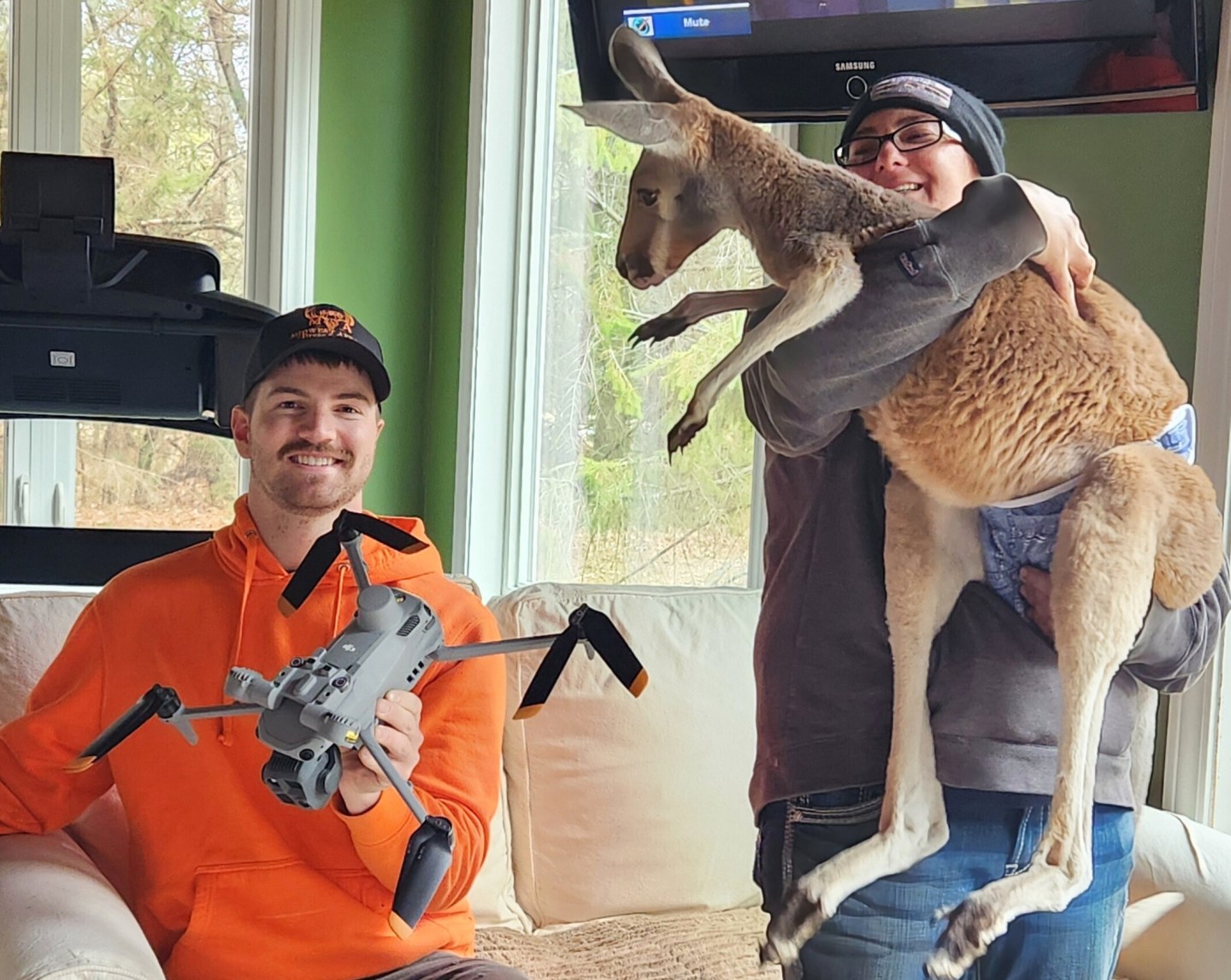 kangaroo