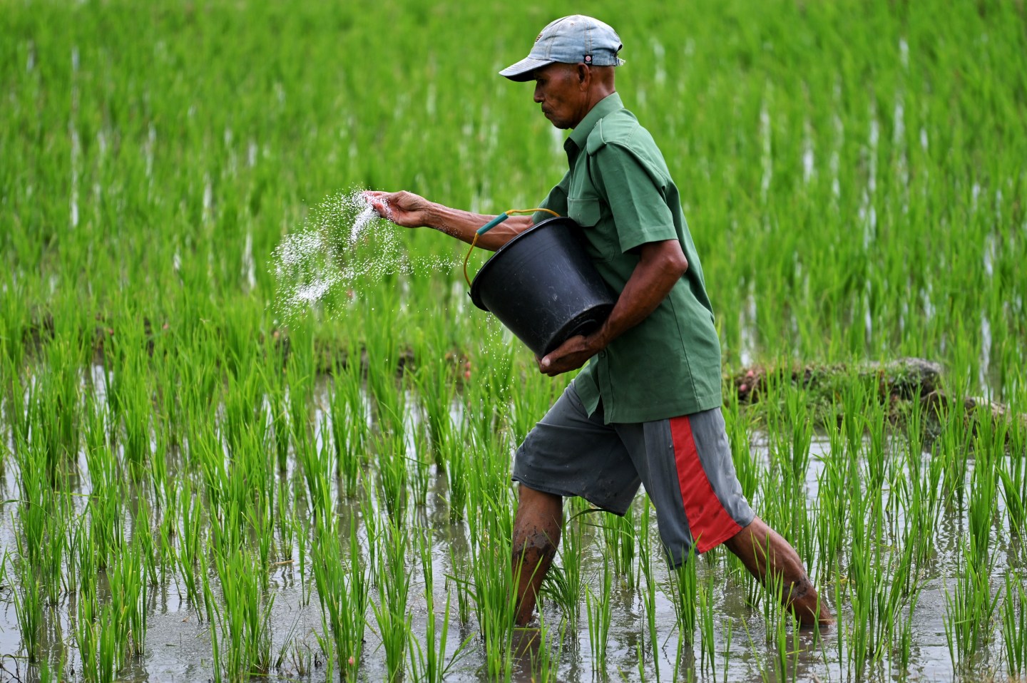 The Iran war cripples Asia’s supplies of fertilizer and helium, threatening farms and chipmakers alike