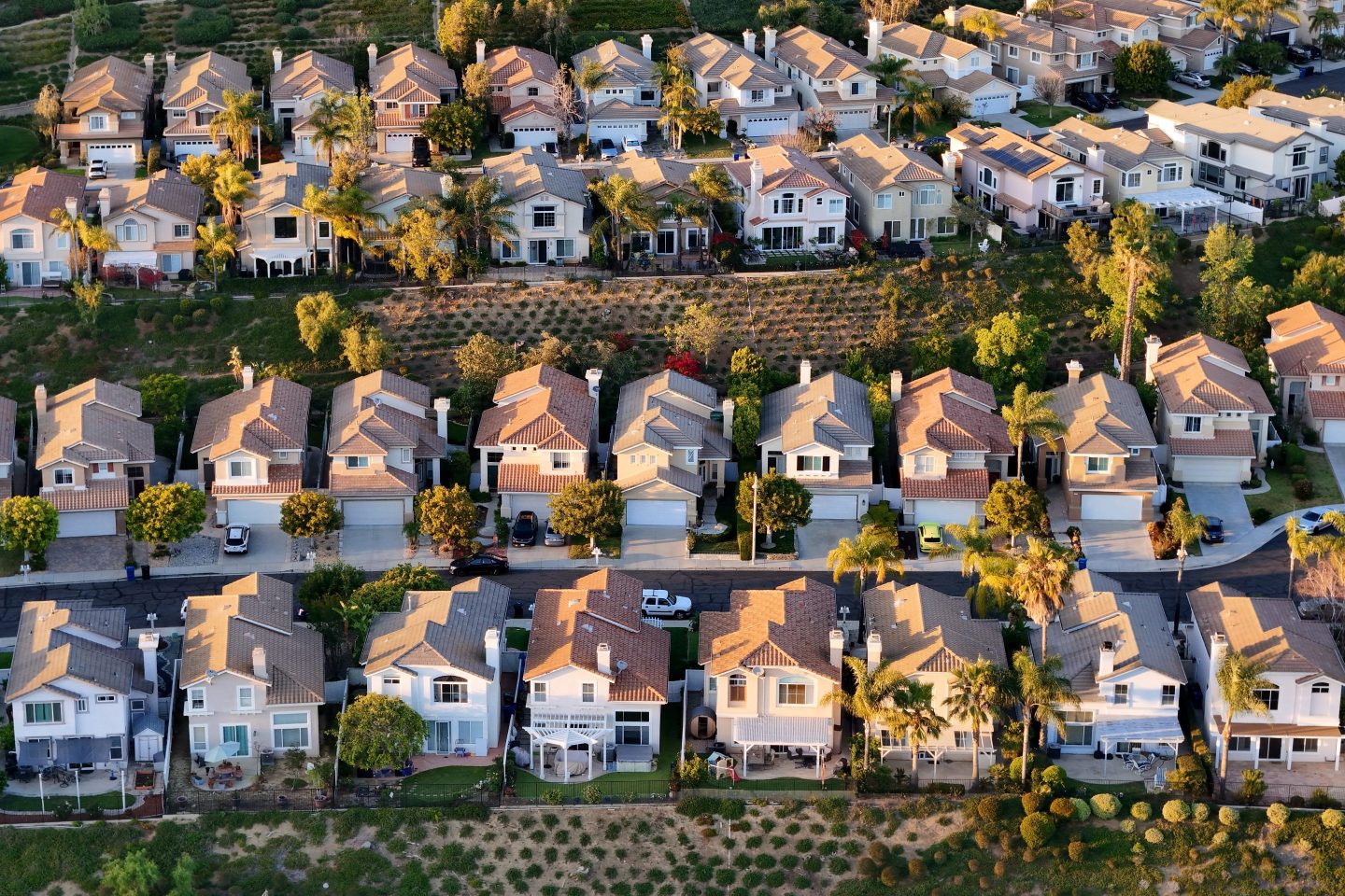 suburb