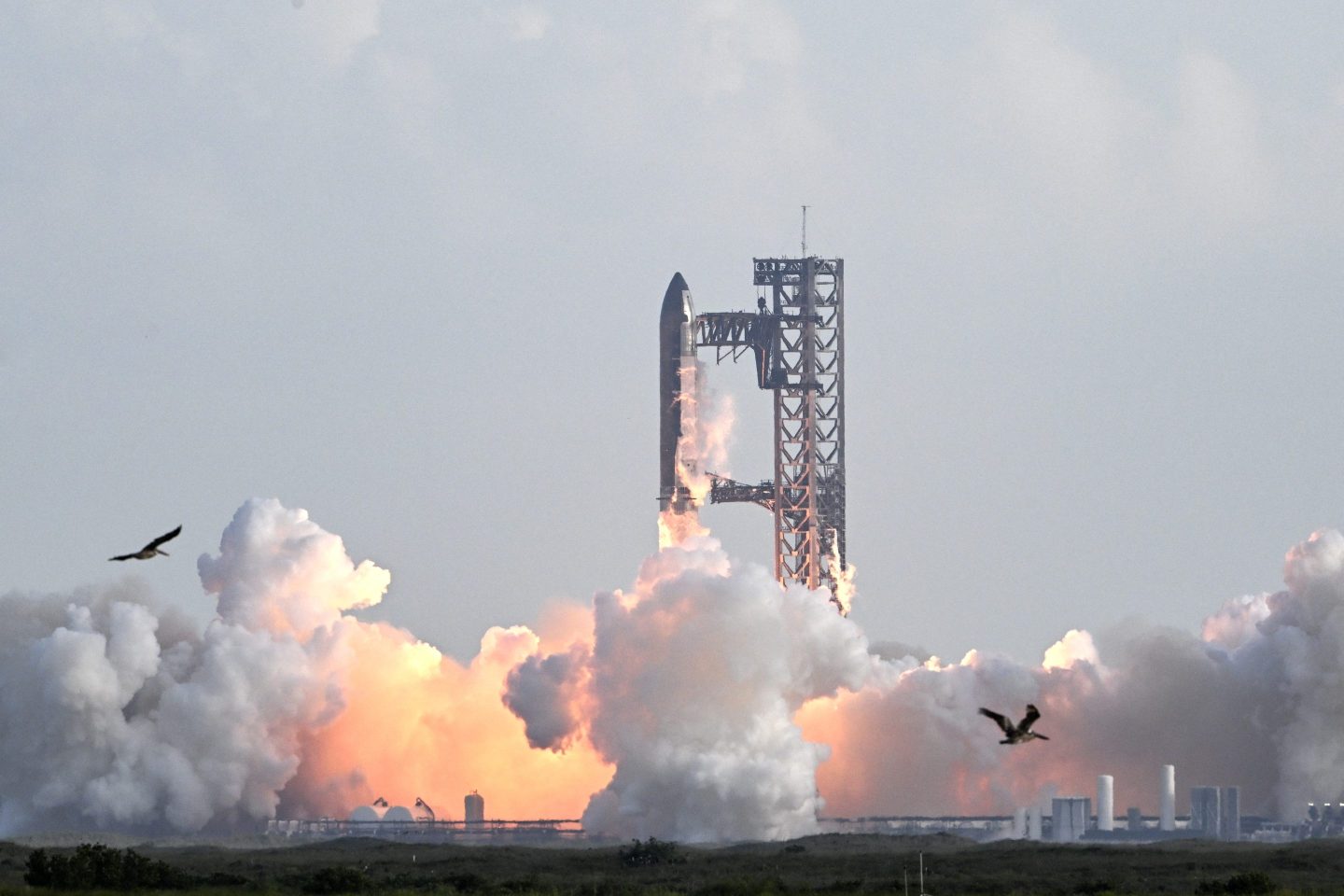 SpaceX heads into a record-shattering IPO with the ‘deepest moat that exists today’ as investors vow to ‘never bet against Elon’