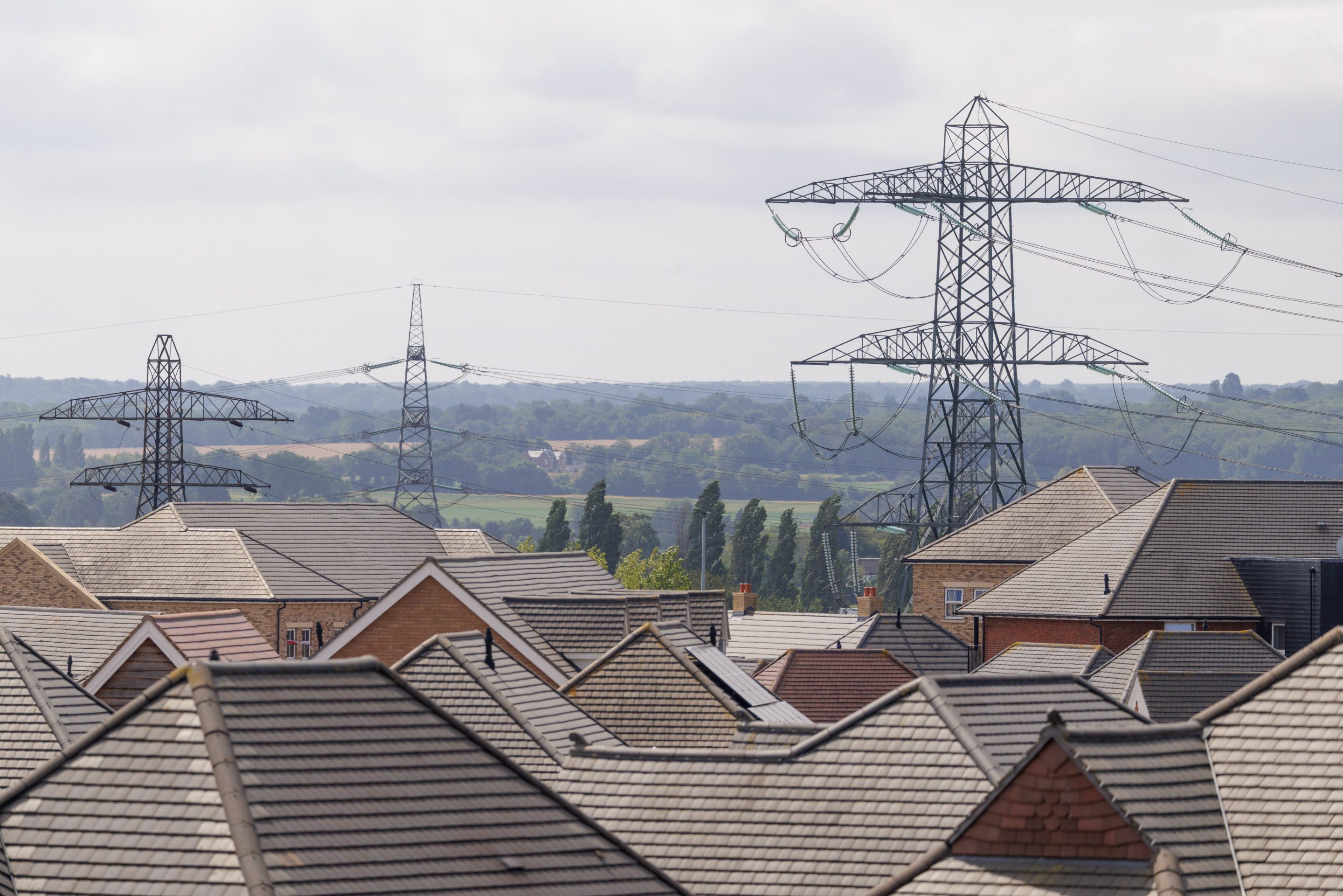 Nearly 30 Georgia homeowners are in the way of a proposed transmission line.