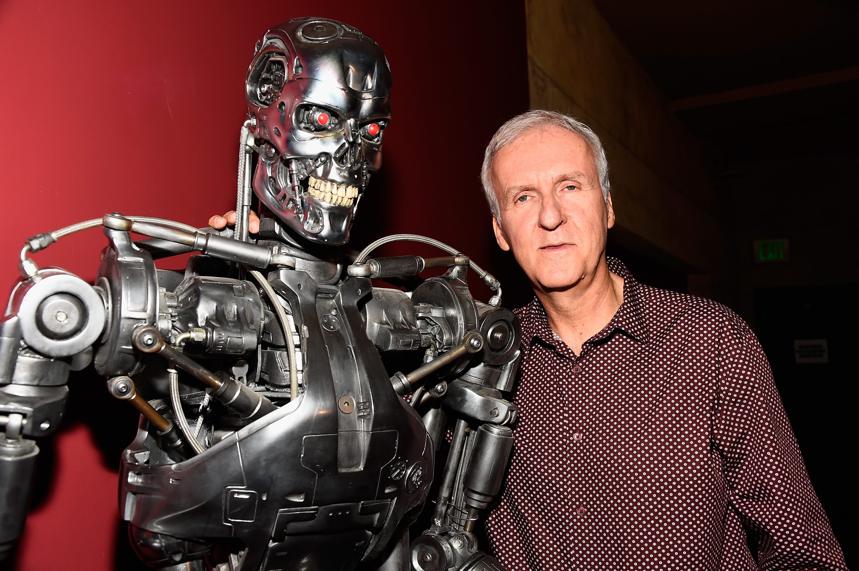 James Cameron attends the American Cinematheque 30th Anniversary Screening Of "The Terminator" Q+A at the Egyptian Theatre on October 15, 2014 in Hollywood, California.